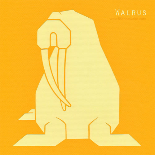 A colourful, abstract and minimalist papercut of a walrus.